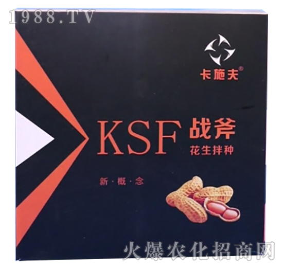 ������N����Щ��̎��������N��ʲô��N����