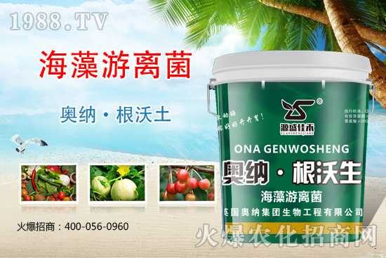 ���ӱ��W�{����Ʒ��(l��i)�u��������������o����ע��I(y��ng)�B(y��ng)�·�����