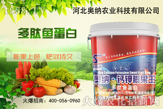 ���ӱ��W�{����Ʒ��(l��i)�u��������������o����ע��I(y��ng)�B(y��ng)�·�����