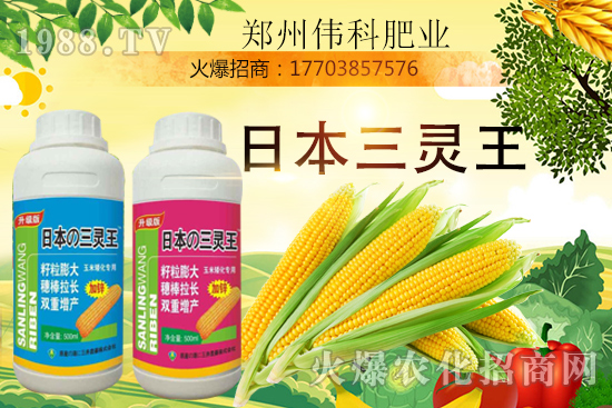 玉米控旺幾次好，玉米控旺時間及玉米控旺產品選擇！