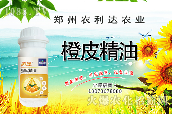 ��Ƥ�������˽��������Ƥ������ʲô��������ô�x��Ƥ������