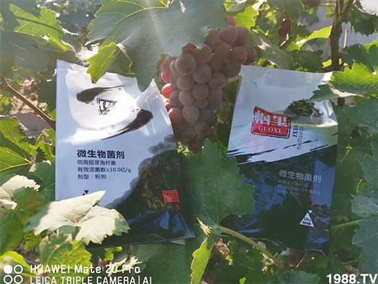 好產(chǎn)品好作用，“一璽生物”微生物菌劑“幗璽”客戶真實(shí)反饋！