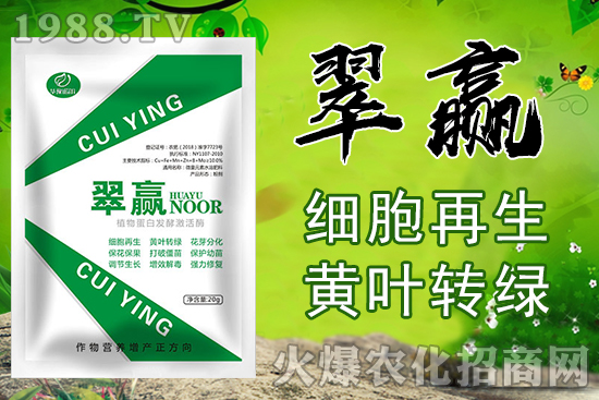 �J���Ҿ��˲�����