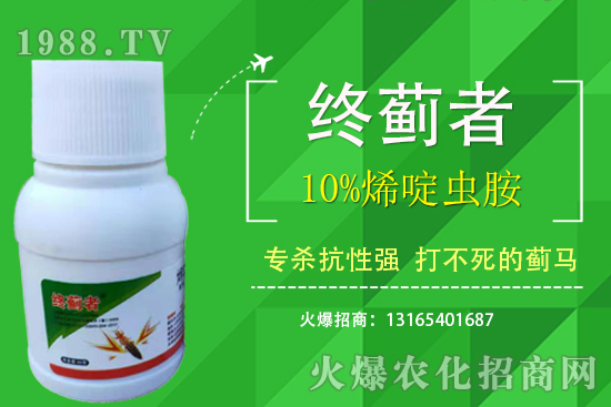 10%烯啶蟲胺能打薊馬嗎？有什么特點(diǎn)？10%烯啶蟲胺使用注意事項(xiàng)！
