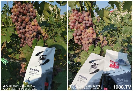 好產(chǎn)品好作用，“一璽生物”微生物菌劑“幗璽”客戶真實(shí)反饋！