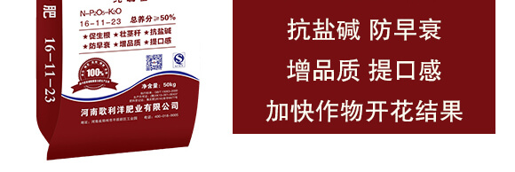 �������(f��)�Ϸ���16-11-23-������_04