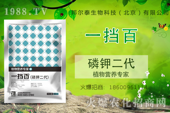 ��⛶�����ʲô��������⛶�����ôʹ����