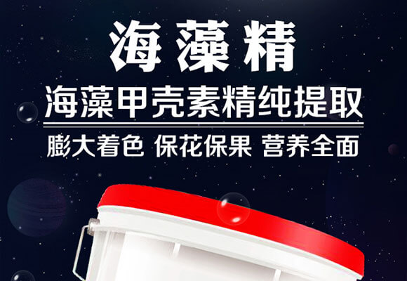 ���徫-����_01