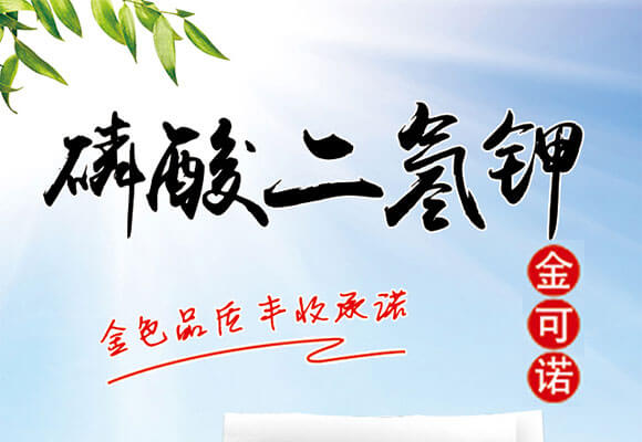 磷酸二氫鉀(1000g)-金可諾_01