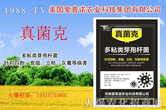 ���������Z��ʲô��(y��u)�������������Z�aƷ����Щ��