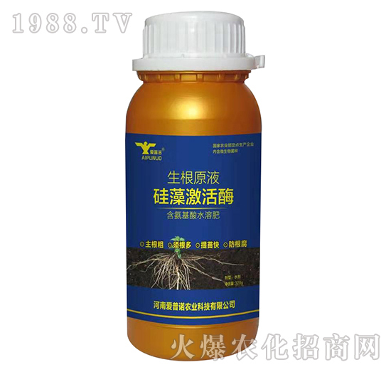 ���������Z��ʲô��(y��u)�������������Z�aƷ����Щ��