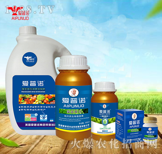 ���������Z��ʲô��(y��u)�������������Z�aƷ����Щ��