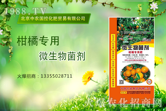 柑橘怎么施肥？施什么肥？柑橘專用肥有哪些？