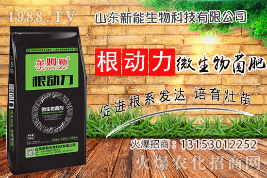 ����������ʲô�ʣ�ʹ�á�΢������ʡ���ʲô��(y��u)����