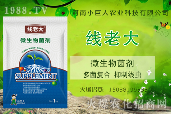 根結(jié)線蟲咋防治？根結(jié)線蟲克星-“線老大”多菌復(fù)合、抑制線蟲！