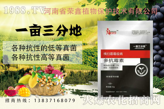 �׷����C����˪ù�������y��������ˎ������Щ�������a(ch��n)Ʒ�R����