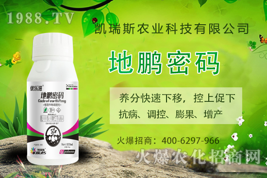 �P��˹�r(n��ng)�I(y��)��ô�ӣ��P��˹�r(n��ng)�I(y��)����a(ch��n)Ʒ����Щ��