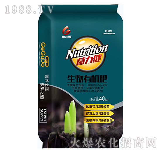 Ҫ�����������ϵ����Ҫ���۹��֮����ô�ӣ�����Щ����a(ch��n)Ʒ��