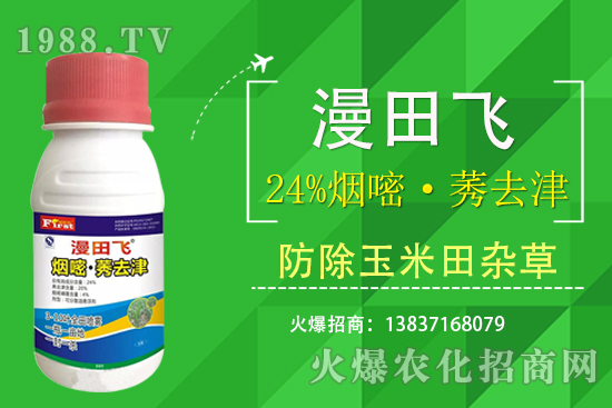 24%���ס�ݬȥ�����Ч���Æ���24%���ס�ݬȥ����ʲô���c(di��n)��