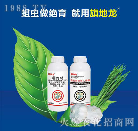 ������֮����ô����������֮�ǚ����aƷ����Щ��