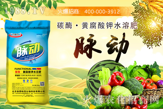 ̼ø���S�����ˮ�ܷ���ʲô��Ч��̼ø���S�����ˮ�ܷ�����Щ��˾���a����