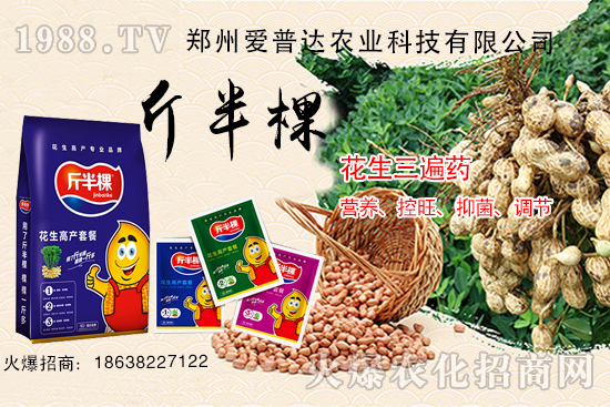 花生三遍藥什么時(shí)期使用？花生三遍藥有哪些作用？