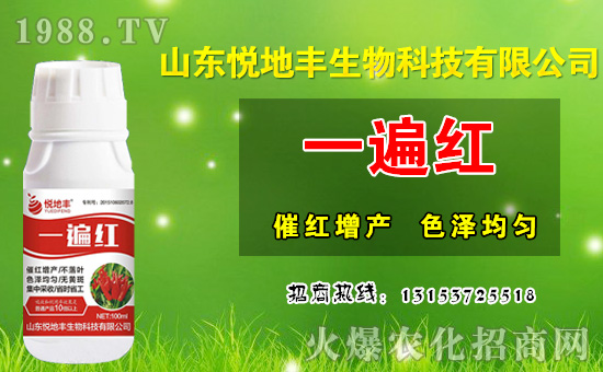 ����(b��o)