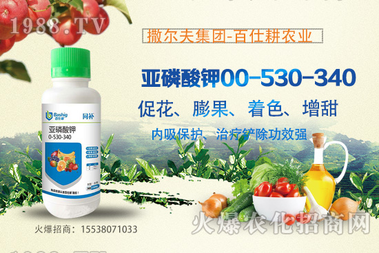 營養(yǎng)控梢，預防潰瘍！亞磷酸鉀真的這么牛嗎？亞磷酸鉀作用原理！