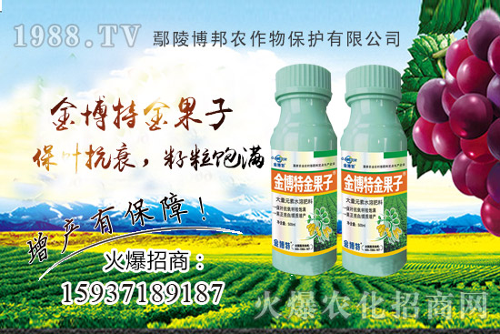 ������˥�p�a(ch��n)��(y��n)��ԓզ�k��������˥ԭ�����Nֲ����α��⣿