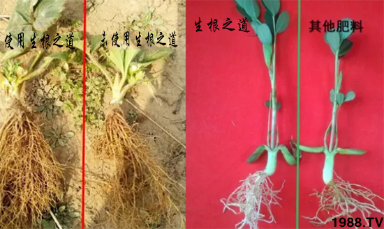 �����ϵ�����a(ch��n)������������֮���������¸����������a(ch��n)�o�n��