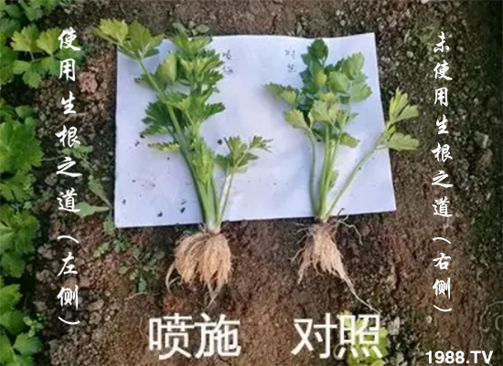 �����ϵ�����a(ch��n)������������֮���������¸����������a(ch��n)�o�n��