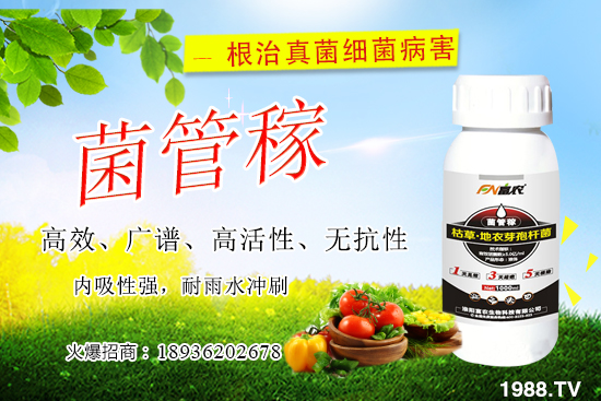 ���䝢��Σ����ʲô�����䝢�������Ά�������ˎ������Щ��