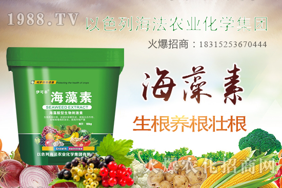 海法農(nóng)業(yè)為啥這么牛？海法農(nóng)業(yè)生產(chǎn)特色是什么？主打哪些產(chǎn)品？