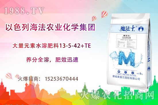 海法農(nóng)業(yè)為啥這么牛？海法農(nóng)業(yè)生產(chǎn)特色是什么？主打哪些產(chǎn)品？
