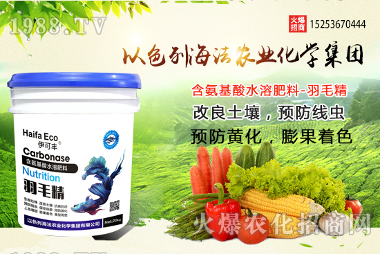 海法農(nóng)業(yè)為啥這么牛？海法農(nóng)業(yè)生產(chǎn)特色是什么？主打哪些產(chǎn)品？