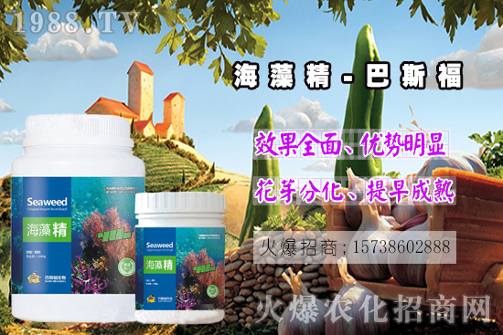  ߀���˽⺣�徫��ɶ����������out�������徫�����ж����