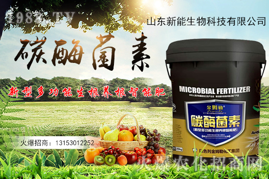 һ�ʶ��ã��ЙC(j��)̼+����ø+�����+�I�B(y��ng)Ԫ����̼ø������ʲô������