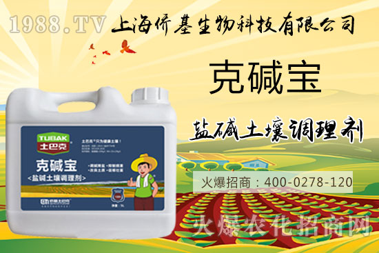 �����}�AΣ���������ˉA���������}�A��߀��һƬ������