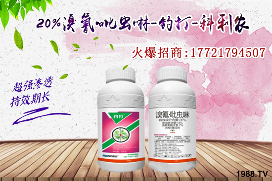 �������x���l(f��)̫���������x��ô��Ч���ã����x���η�������Щ��