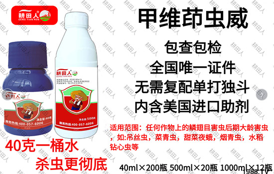 ����Ʒ�r(n��ng)ˎ�������¼Z�}(c��ng)����(r��n)��������ô�������x(ch��ng)���a(ch��n)Ʒ����Щ��