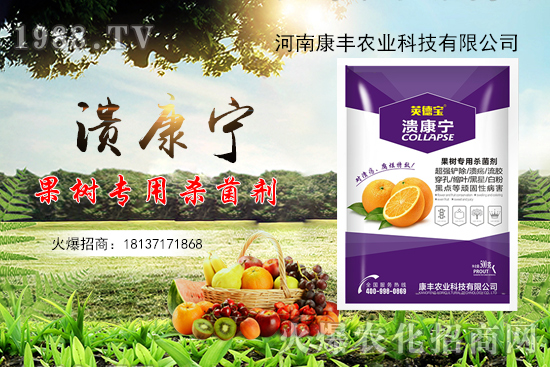 柑橘潰瘍病又到高發(fā)期，康豐農(nóng)業(yè)“潰康寧”防治效果怎么樣？