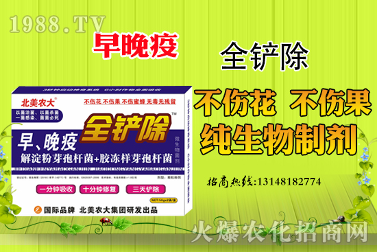 早晚疫危害嚴(yán)重，早晚疫防治措施有哪些？