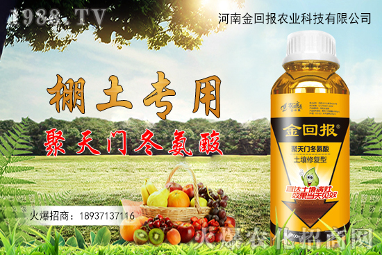 �����T������