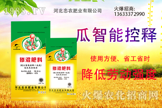 �������������Щ������ʵ�ʹ�÷�����ԓ����xُ��