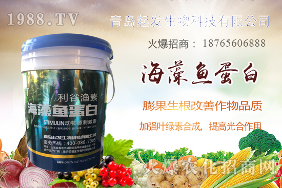 �߲˶�ֲ��ξ�������߲������`�^(q��)����Щ���߲�������������]��