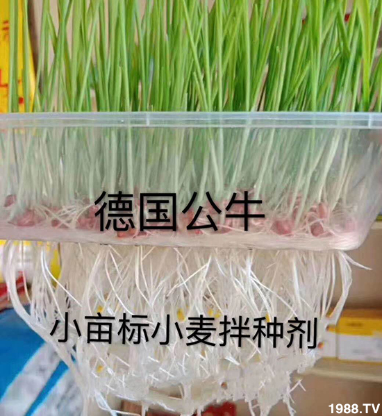 С����N�����a(ch��n)��С����N������x����С����N��Ʒ���x����