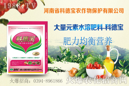 玉米空稈危害大，什么原因造成的？玉米空稈防控措施！