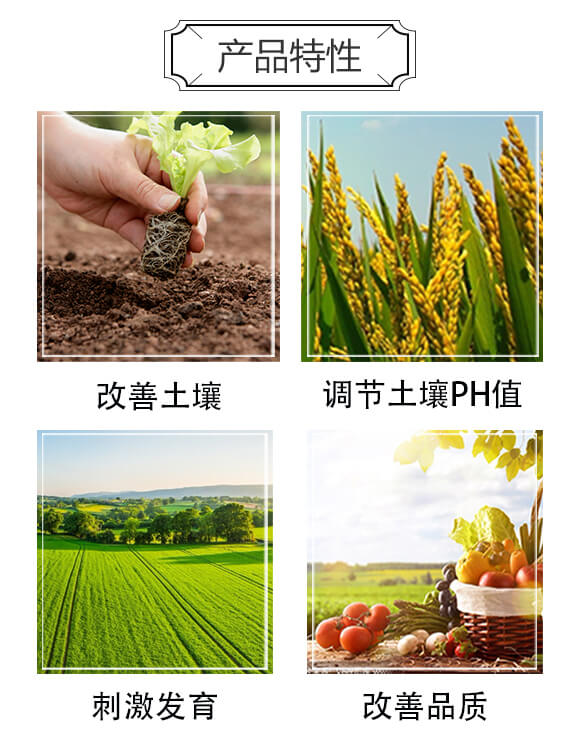 �����(f��)�Ϸ�15-10-15-Ψ��-�Ź��r(n��ng)�I(y��)_03