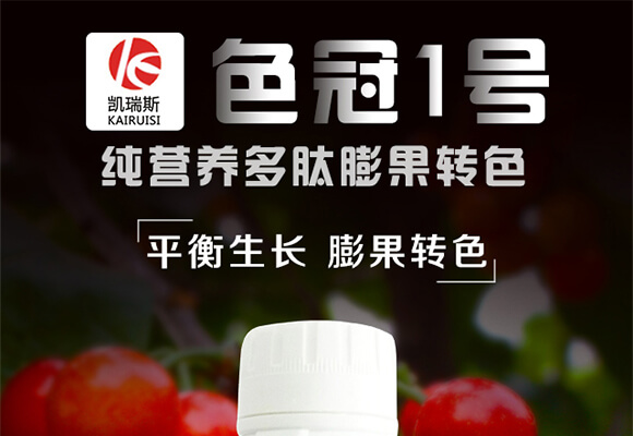 ���I(y��ng)�B(y��ng)��������D(zhu��n)ɫ-ɫ��1̖(h��o)-�P��˹_01