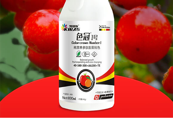 ���I(y��ng)�B(y��ng)��������D(zhu��n)ɫ-ɫ��1̖(h��o)-�P��˹_02